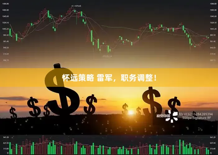 怀远策略 雷军，职务调整！