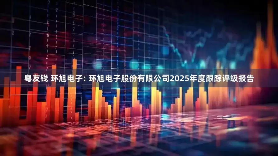 粤友钱 环旭电子: 环旭电子股份有限公司2025年度跟踪评级报告