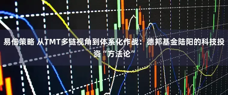 易倍策略 从TMT多链视角到体系化作战：德邦基金陆阳的科技投资“方法论”